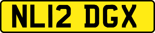 NL12DGX