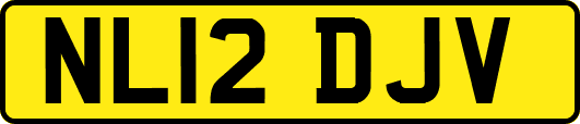 NL12DJV