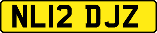 NL12DJZ