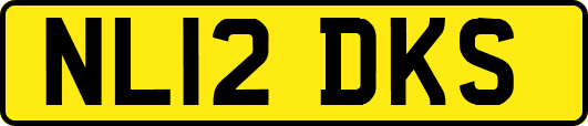 NL12DKS