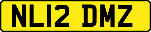 NL12DMZ