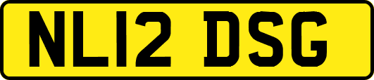 NL12DSG