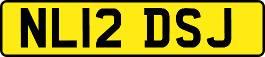 NL12DSJ
