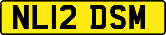 NL12DSM