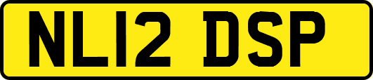 NL12DSP