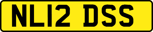 NL12DSS