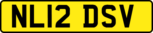 NL12DSV