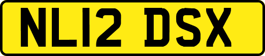 NL12DSX