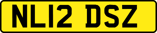 NL12DSZ