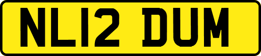 NL12DUM