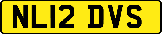 NL12DVS