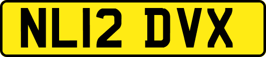NL12DVX