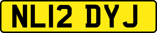 NL12DYJ