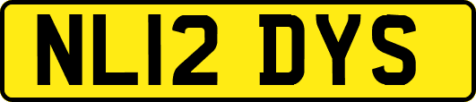 NL12DYS