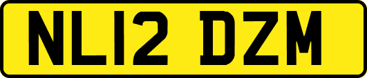 NL12DZM