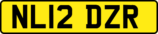 NL12DZR