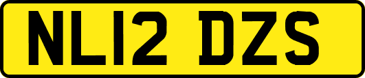 NL12DZS