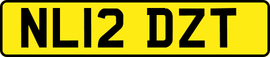 NL12DZT