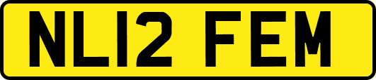 NL12FEM