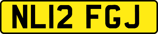 NL12FGJ
