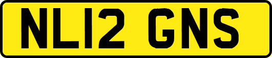 NL12GNS