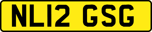NL12GSG