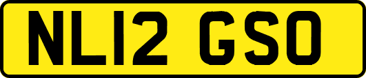 NL12GSO