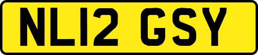 NL12GSY