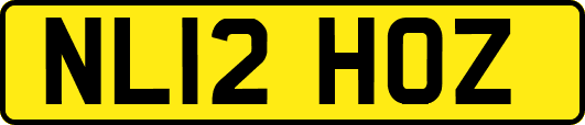 NL12HOZ