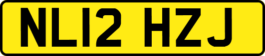 NL12HZJ