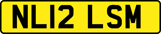 NL12LSM