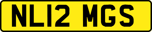 NL12MGS