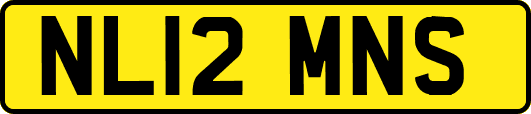 NL12MNS