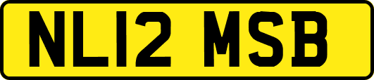 NL12MSB