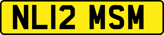 NL12MSM