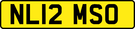 NL12MSO