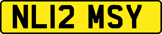 NL12MSY