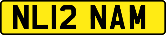 NL12NAM