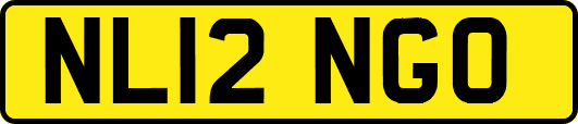 NL12NGO