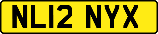 NL12NYX