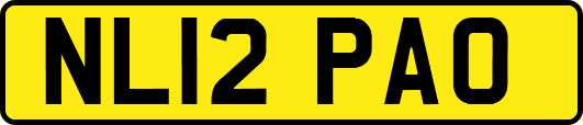 NL12PAO