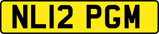 NL12PGM