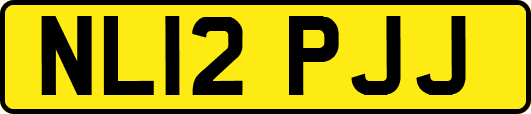 NL12PJJ