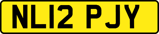 NL12PJY