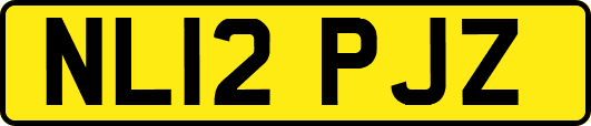 NL12PJZ