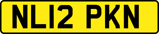NL12PKN