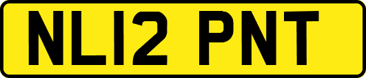 NL12PNT