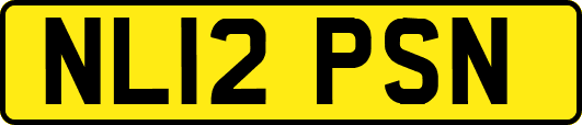 NL12PSN