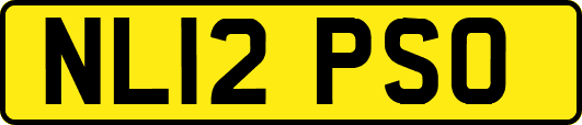NL12PSO