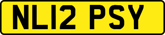 NL12PSY